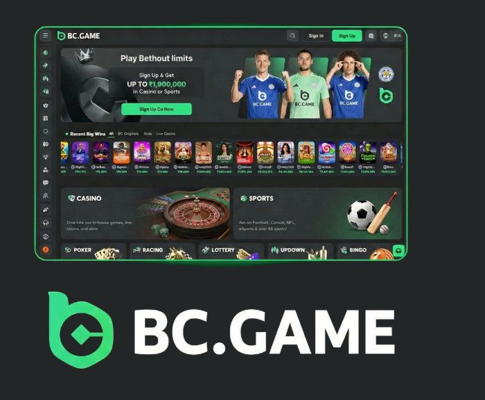 How to Successfully Navigate BC.Game Registration -265827104